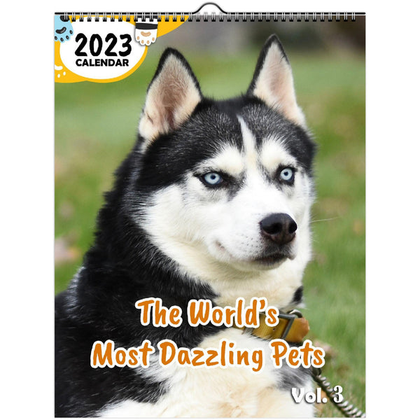 The World's Most Dazzling Pets Volume Three: 2023 Wall Calendar