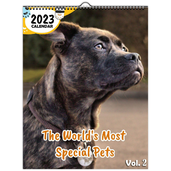 The World's Most Special Pets Volume Two: 2023 Wall Calendar