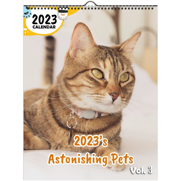 2023's Astonishing Pets Volume Three: 2023 Wall Calendar