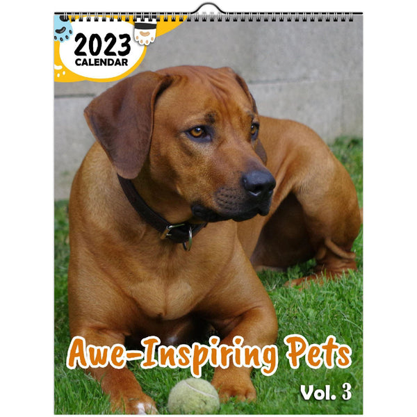 Awe-Inspiring Pets Volume Three: 2023 Wall Calendar
