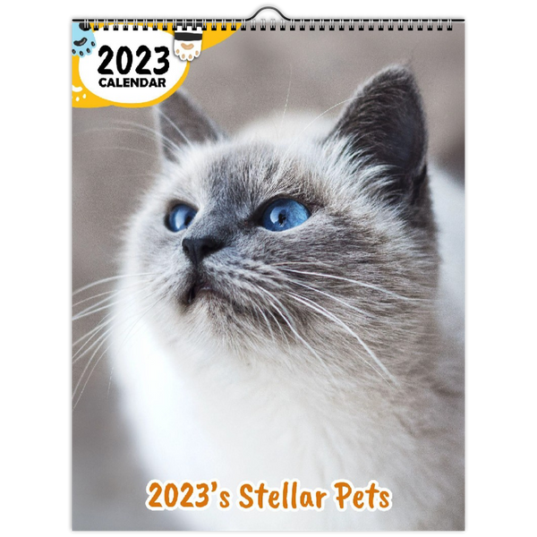 2023's Stellar Pets: 2023 Wall Calendar