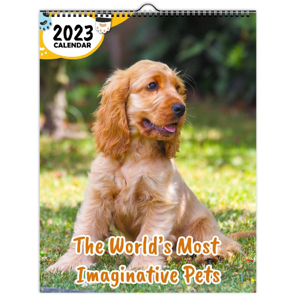 The World's Most Imaginative Pets: 2023 Wall Calendar
