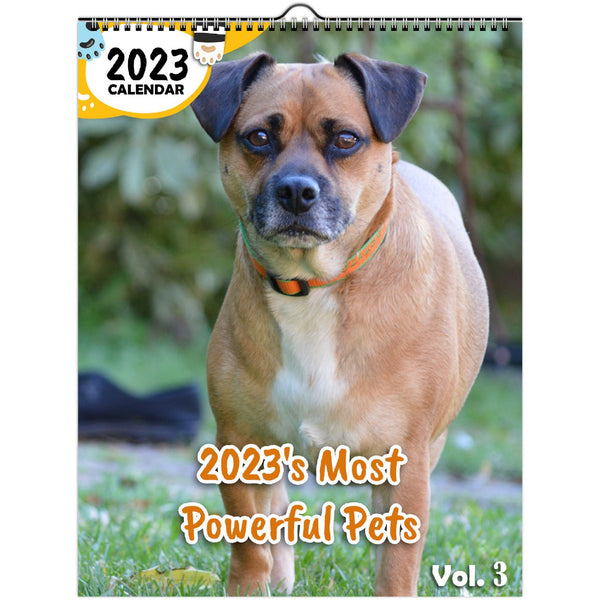 2023's Most Powerful Pets Volume Three: 2023 Wall Calendar