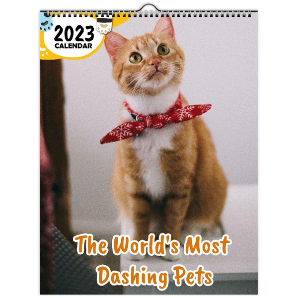 The World's Most Dashing Pets: 2023 Wall Calendar