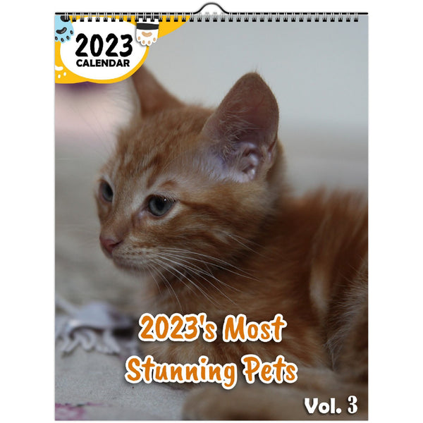 2023's Most Stunning Pets Volume Three: 2023 Wall Calendar