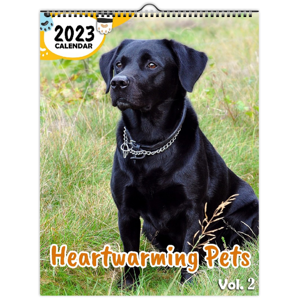Heartwarming Pets Volume Two: 2023 Wall Calendar