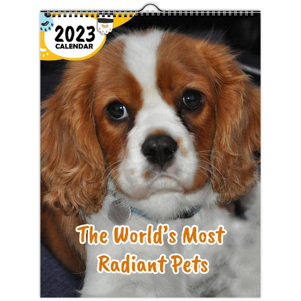 The World's Most Radiant Pets: 2023 Wall Calendar