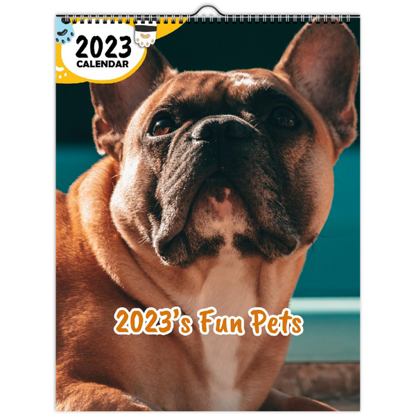 2023's Fun Pets: 2023 Wall Calendar