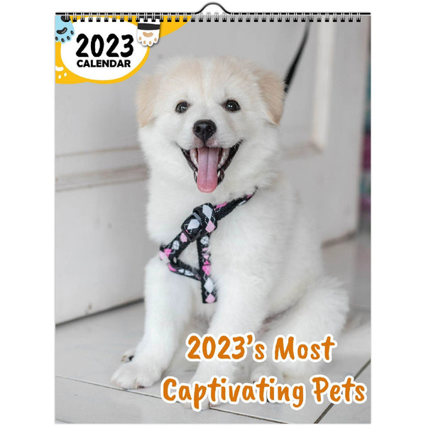 2023's Most Captivating Pets: 2023 Wall Calendar