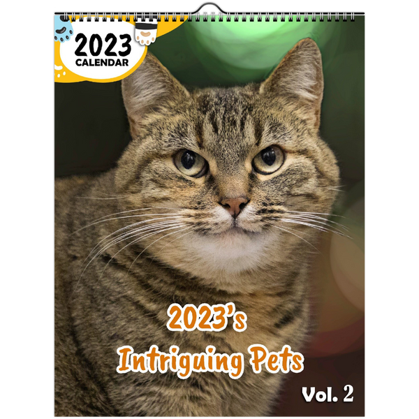 2023's Intriguing Pets Volume Two: 2023 Wall Calendar