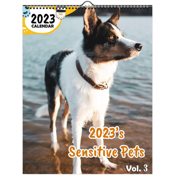 2023's Sensitive Pets Volume Three: 2023 Wall Calendar