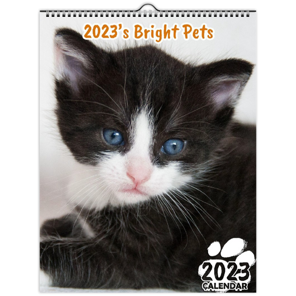 2023's Bright Pets: 2023 Wall Calendar