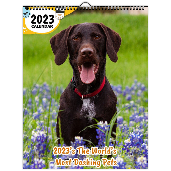 2023's The World's Most Dashing Pets: 2023 Wall Calendar