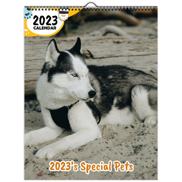 2023's Special Pets: 2023 Wall Calendar