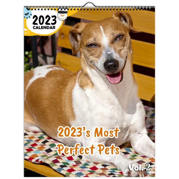 2023's Most Perfect Pets Volume Two: 2023 Wall Calendar