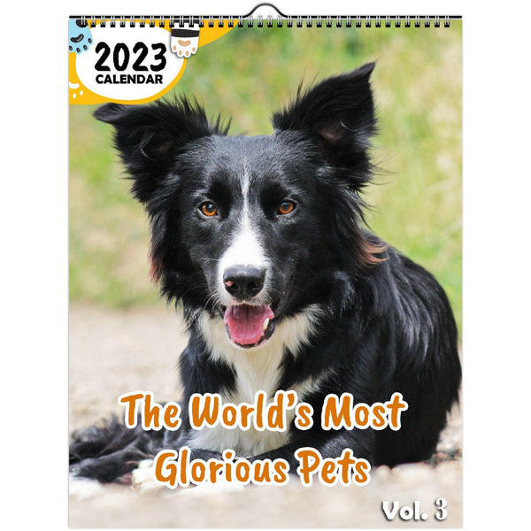 The World's Most Glorious Pets Volume Three: 2023 Wall Calendar