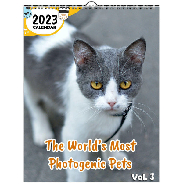 The World's Most Photogenic Pets Volume Three: 2023 Wall Calendar
