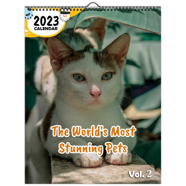 The World's Most Stunning Pets Volume Two: 2023 Wall Calendar