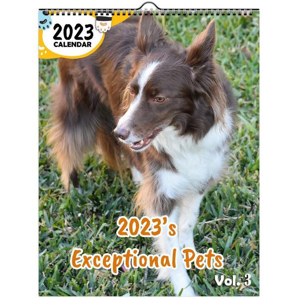 2023's Exceptional Pets Volume Three: 2023 Wall Calendar
