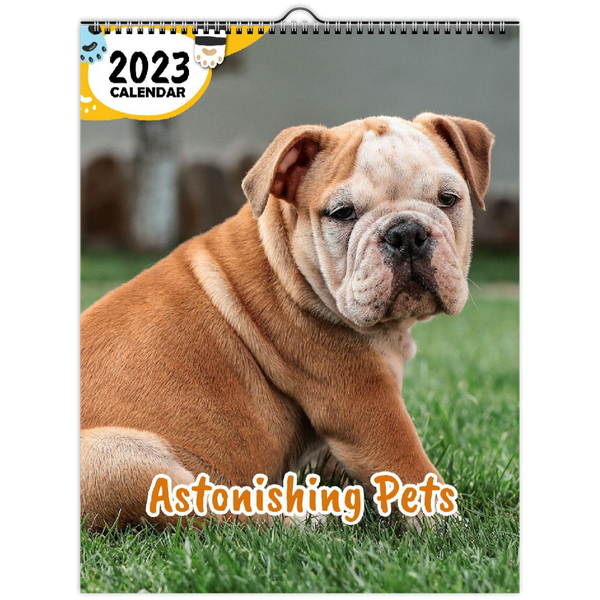 Astonishing Pets: 2023 Wall Calendar