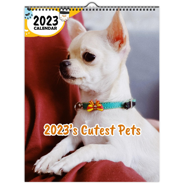 2023's Cutest Pets: 2023 Wall Calendar