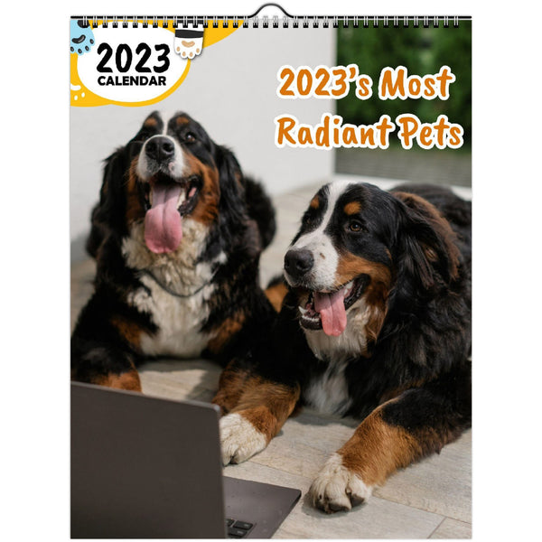 2023's Most Radiant Pets: 2023 Wall Calendar