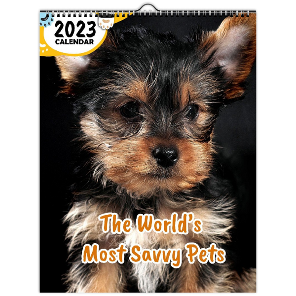 The World's Most Savvy Pets: 2023 Wall Calendar