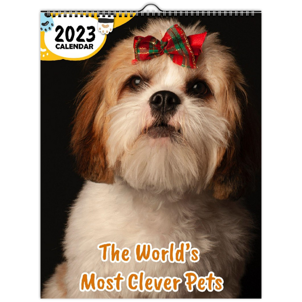 The World's Most Clever Pets: 2023 Wall Calendar