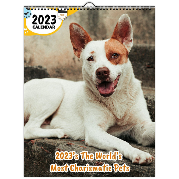 2023's The World's Most Charismatic Pets: 2023 Wall Calendar