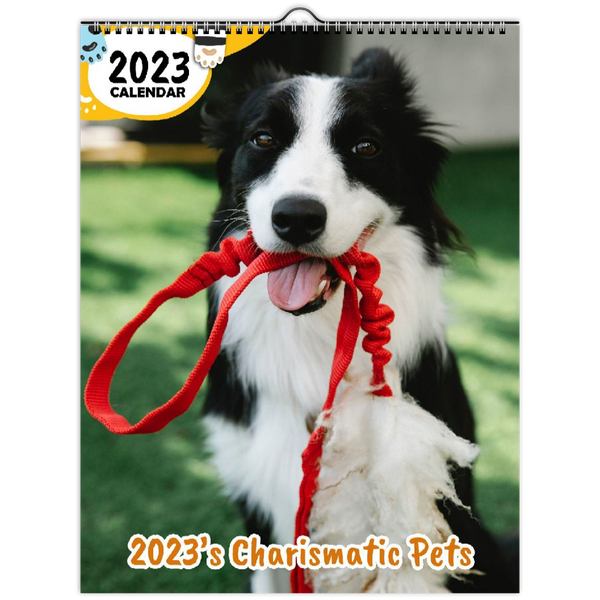 2023's Charismatic Pets: 2023 Wall Calendar