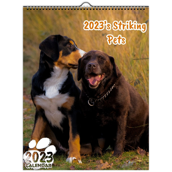 2023's Striking Pets: 2023 Wall Calendar