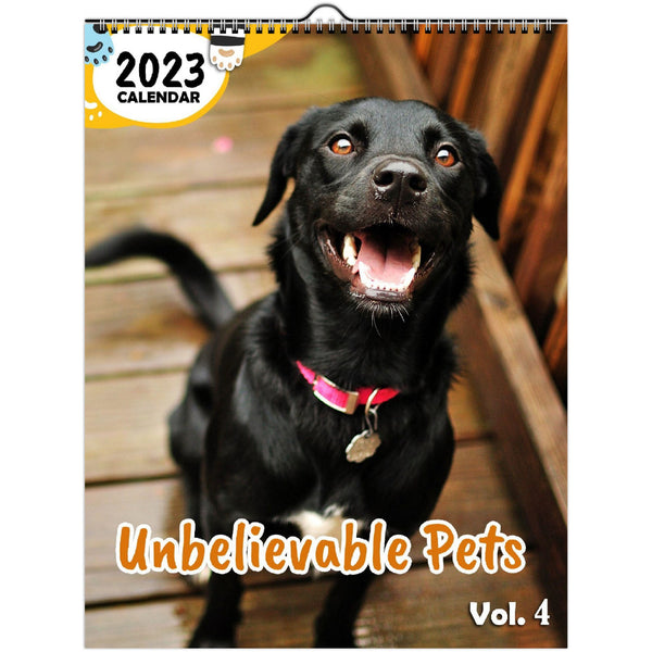 Unbelievable Pets Volume Four: 2023 Wall Calendar