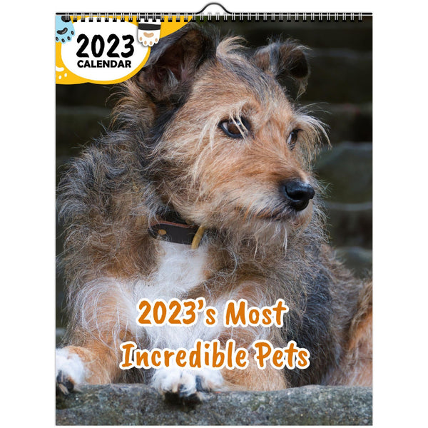 2023's Most Incredible Pets: 2023 Wall Calendar