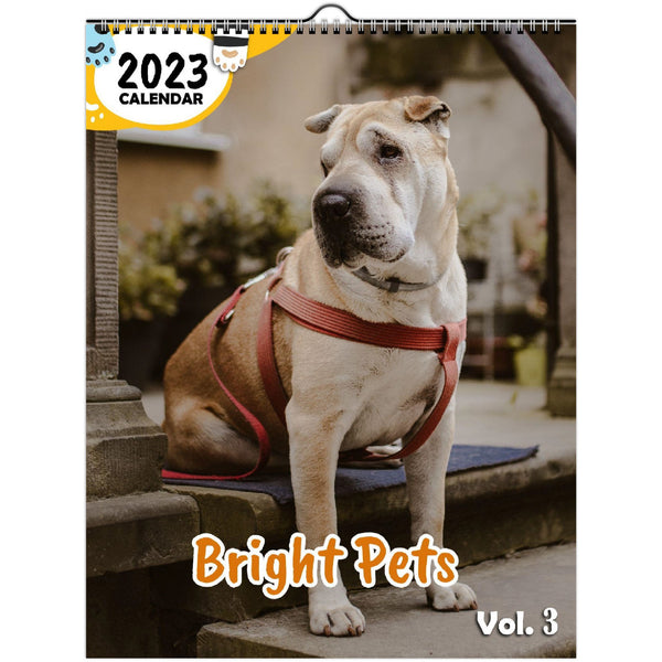 Bright Pets Volume Three: 2023 Wall Calendar