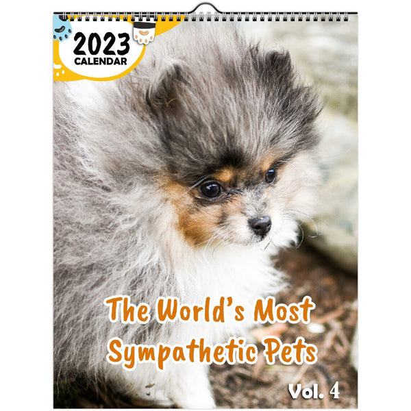 The World's Most Sympathetic Pets Volume Four: 2023 Wall Calendar