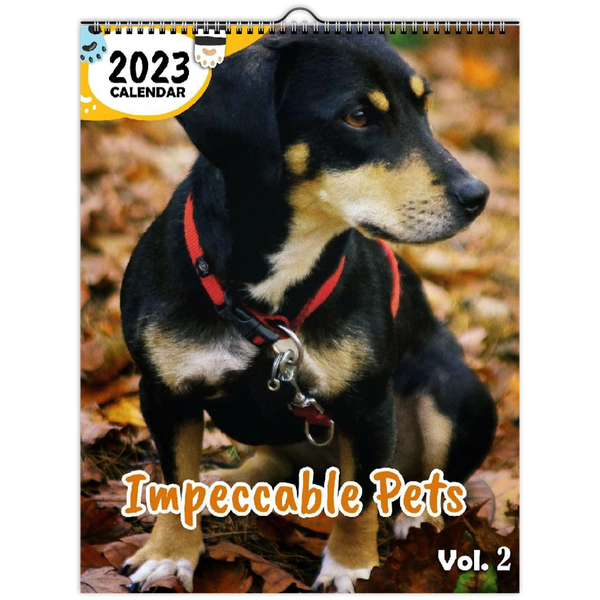 Impeccable Pets Volume Two: 2023 Wall Calendar