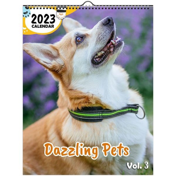 Dazzling Pets Volume Three: 2023 Wall Calendar