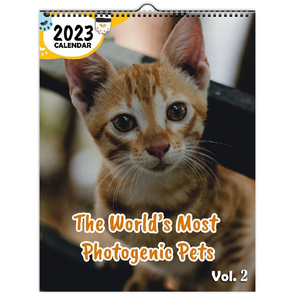 The World's Most Photogenic Pets Volume Two: 2023 Wall Calendar