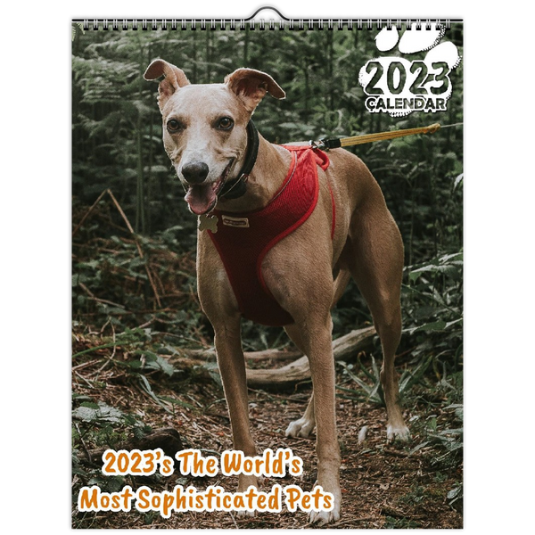 2023's The World's Most Sophisticated Pets: 2023 Wall Calendar