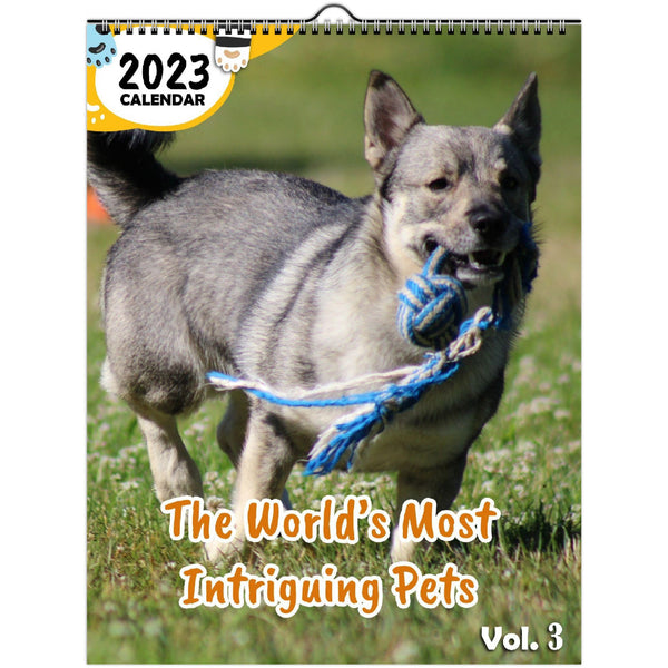 The World's Most Intriguing Pets Volume Three: 2023 Wall Calendar