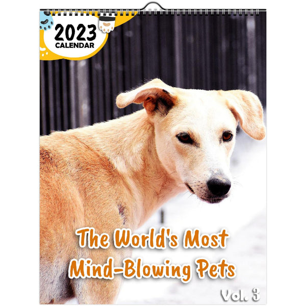 The World's Most Mind-Blowing Pets Volume Three: 2023 Wall Calendar