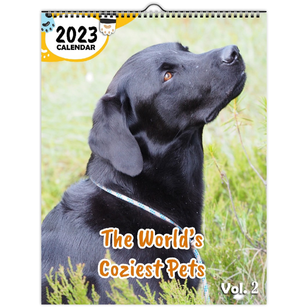 The World's Coziest Pets Volume Two: 2023 Wall Calendar