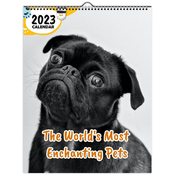 The World's Most Enchanting Pets: 2023 Wall Calendar