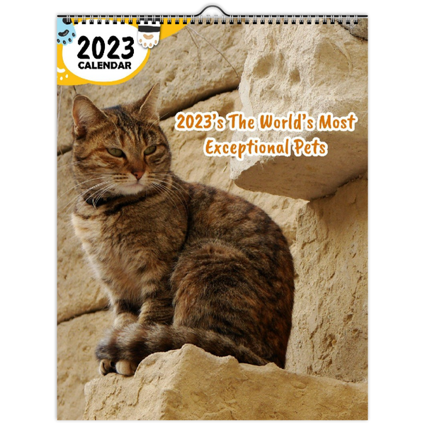 2023's The World's Most Exceptional Pets: 2023 Wall Calendar