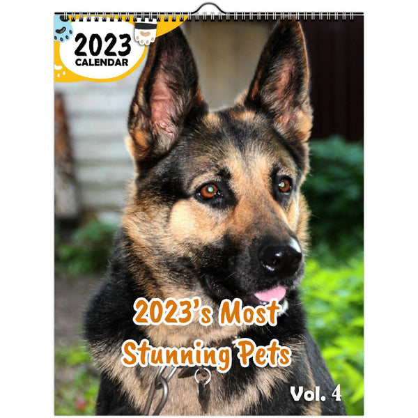 2023's Most Stunning Pets Volume Four: 2023 Wall Calendar