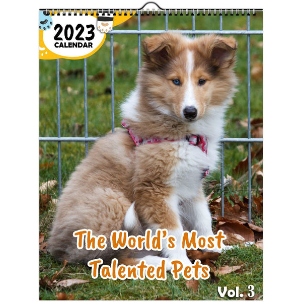 The World's Most Talented Pets Volume Three: 2023 Wall Calendar