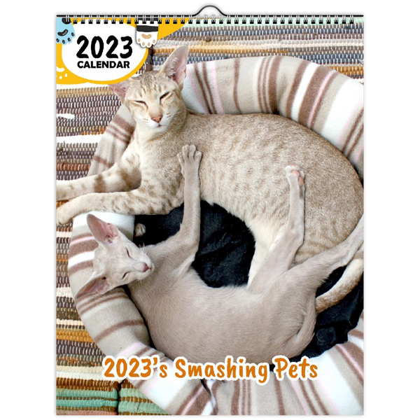 2023's Smashing Pets: 2023 Wall Calendar