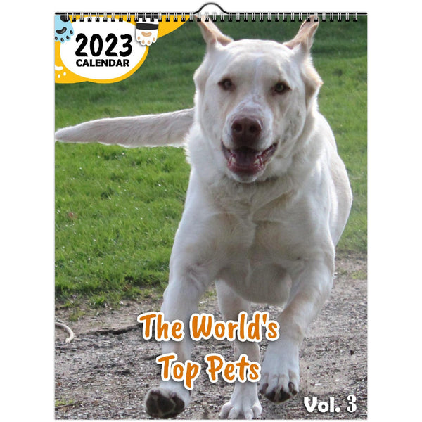 The World's Top Pets Volume Three: 2023 Wall Calendar
