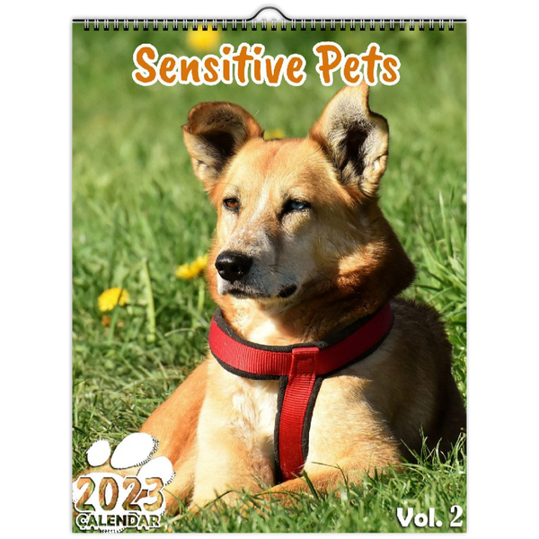 Sensitive Pets Volume Two: 2023 Wall Calendar