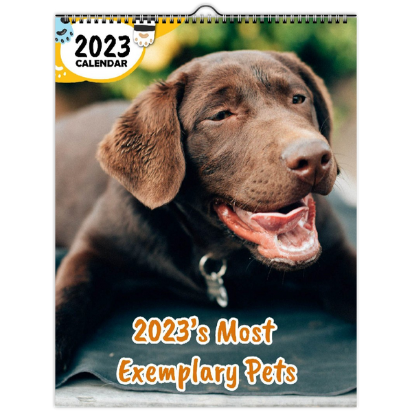 2023's Most Exemplary Pets: 2023 Wall Calendar